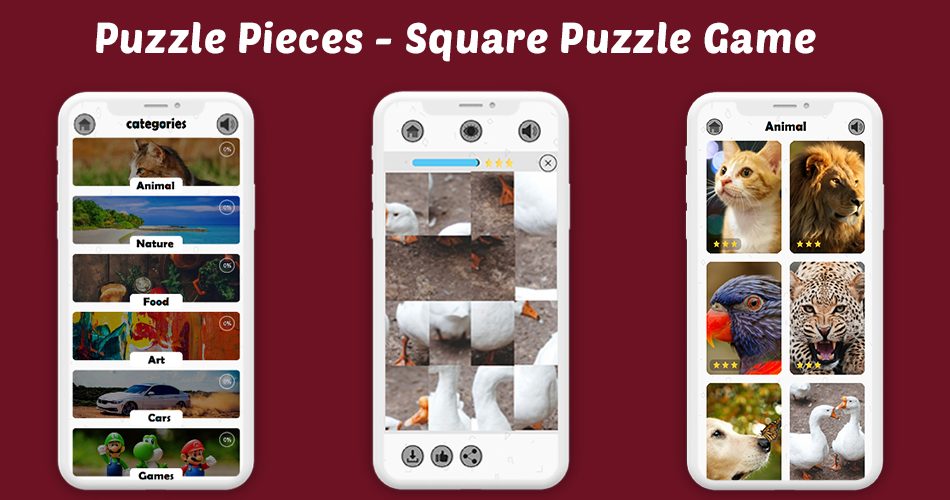 Puzzle Pieces Square Puzzle